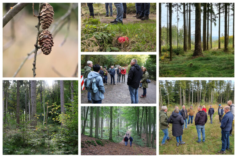 Deisterwanderung mit der Forstinteressentenschaft