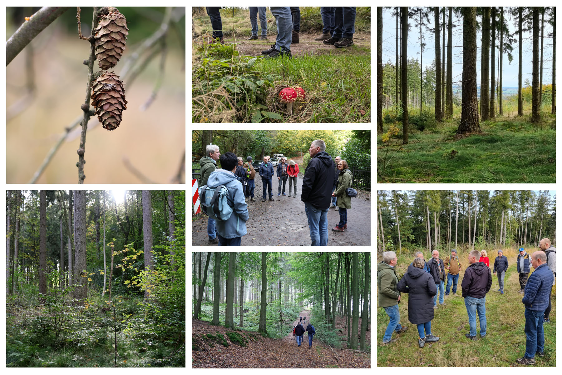 Bilder von der Deisterwanderung am 12. Oktober 2024