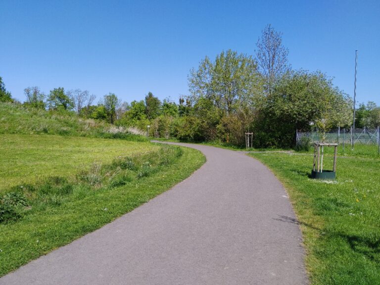 Grüne stellen Antrag zur Beleuchtung im Stadtteilpark „Nordstadt“